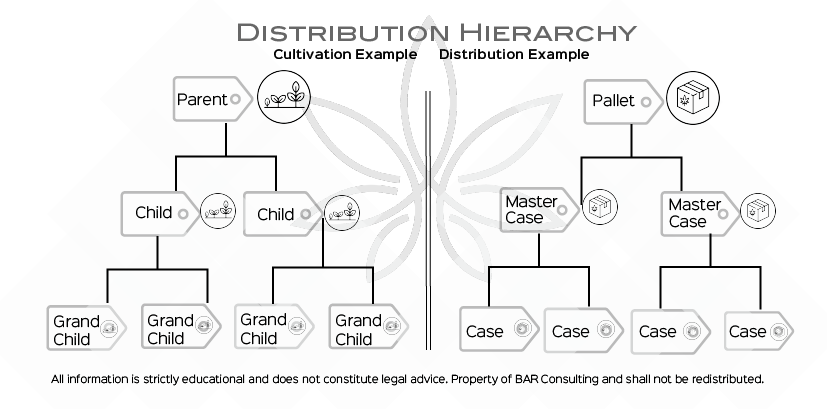 Cannabis supply chain