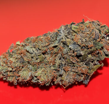 Adding Macro and Micronutrients Makes Super Exotics Sublime