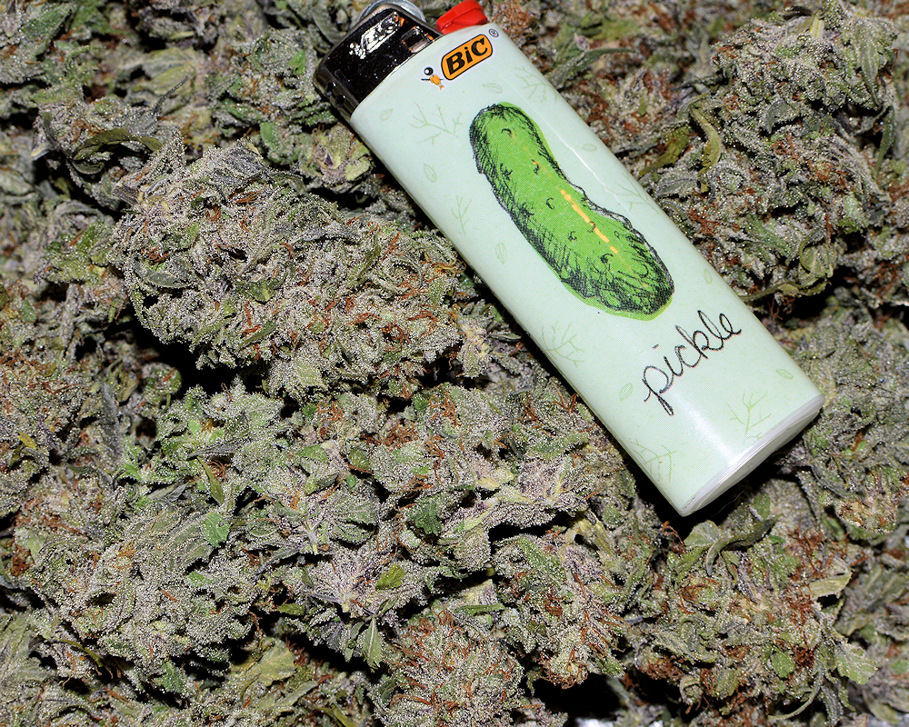 Mulching Your Cannabis Plants Correctly Has Big Bennies