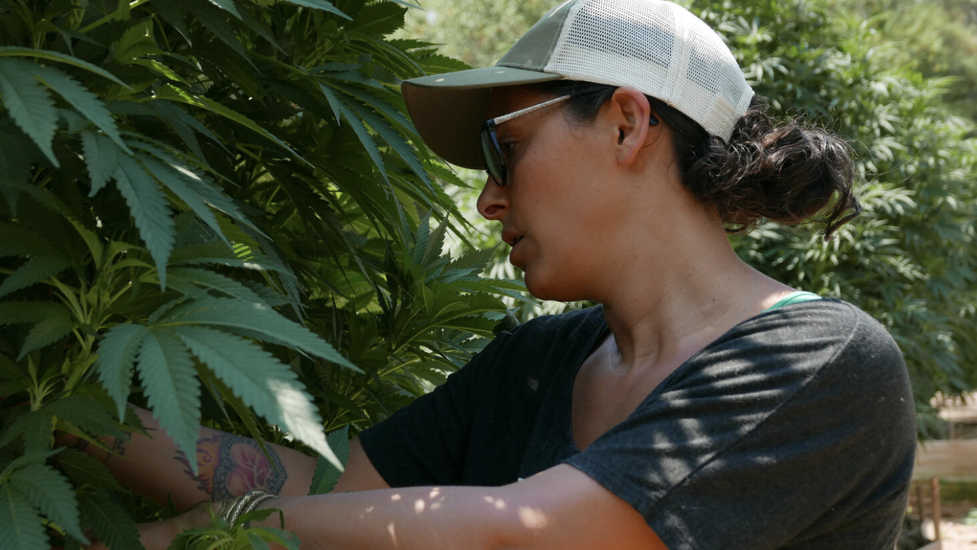 Lady Buds: Finding Balance and Sustainability by Moving Forward