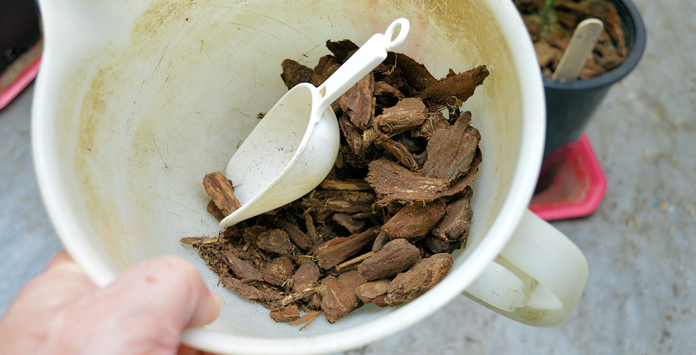Use Chunky Bark Mulch Like This Rather Than Shredded to Summon the Ancient Fungi