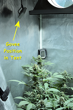 I Like Placing the Govee Bluetooth Just Out of Direct Light