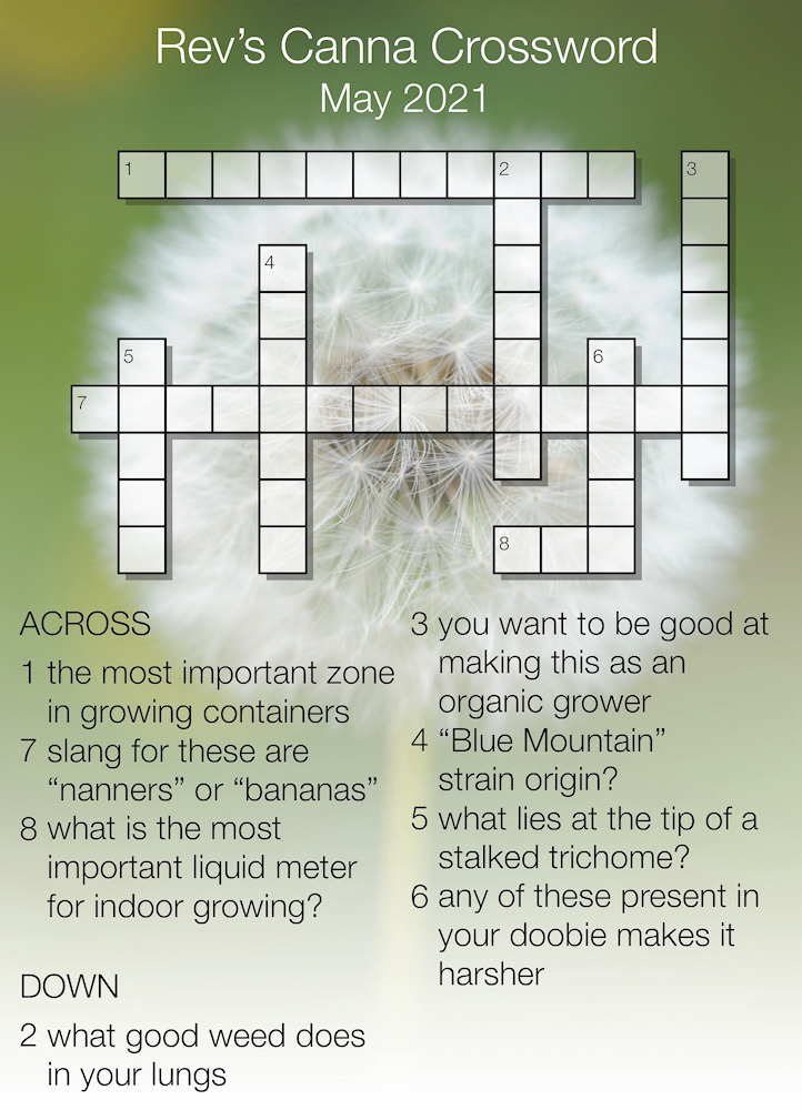 Rev PUZZLE 5-2021