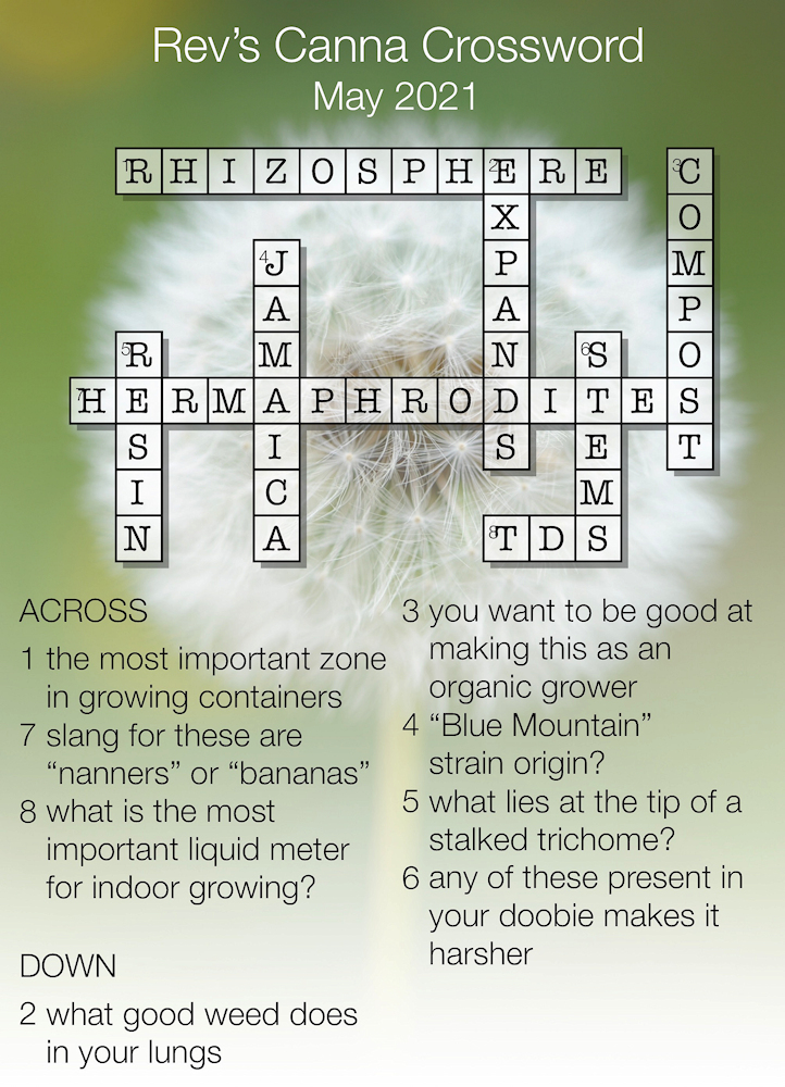 Puzzle KEY 5-2021