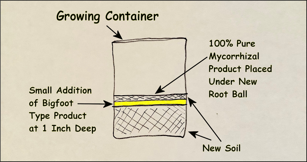 Container Cross-Section Showing Additions per Location Just Before Transplanting