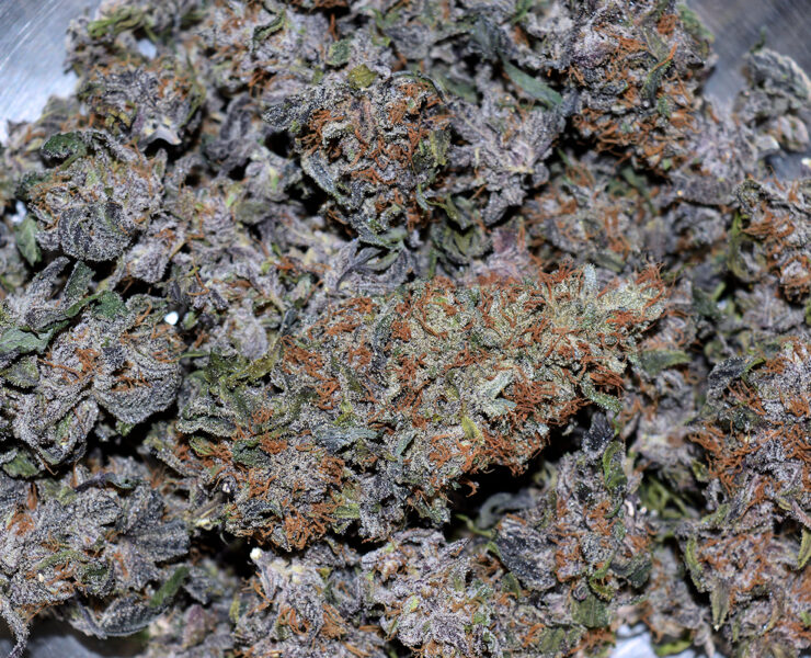 Probs wit da Purps Need Not Happen