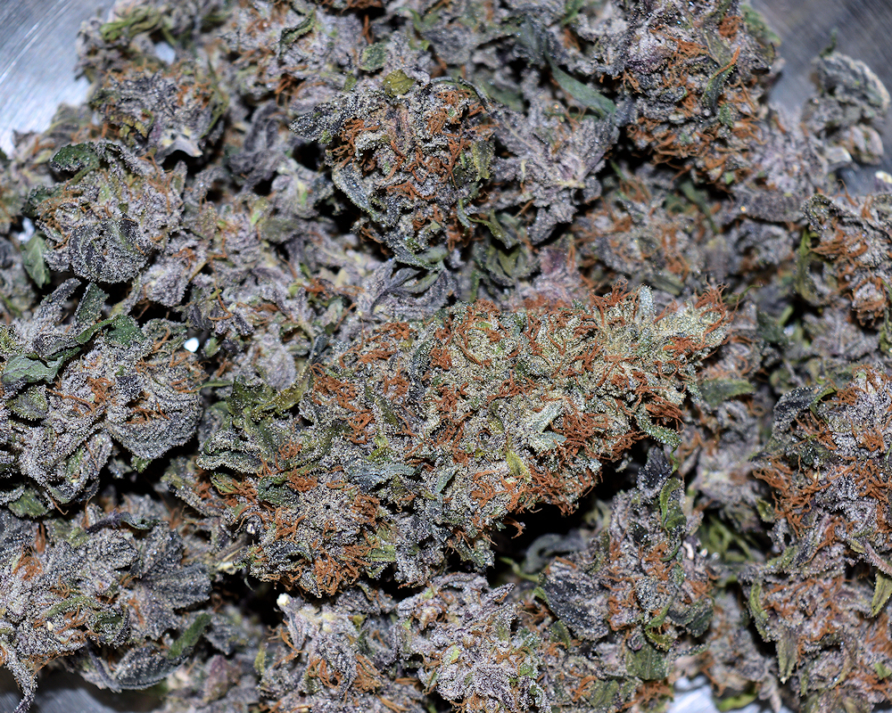 Probs wit da Purps Need Not Happen