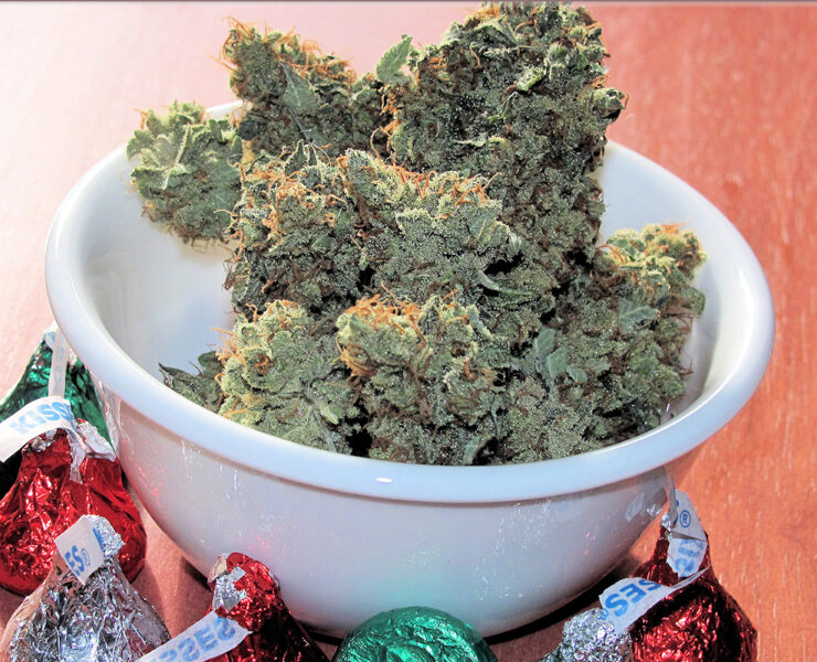 Coma Cluster Buds are Deadly