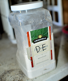 Diatomaceous Earth is Mostly Calcium Carbonate and Some Silicon