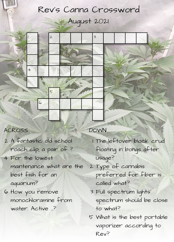 August 2021 Crossword