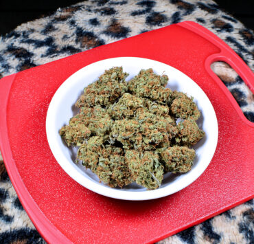 Beautiful Cinderella 99 Buds