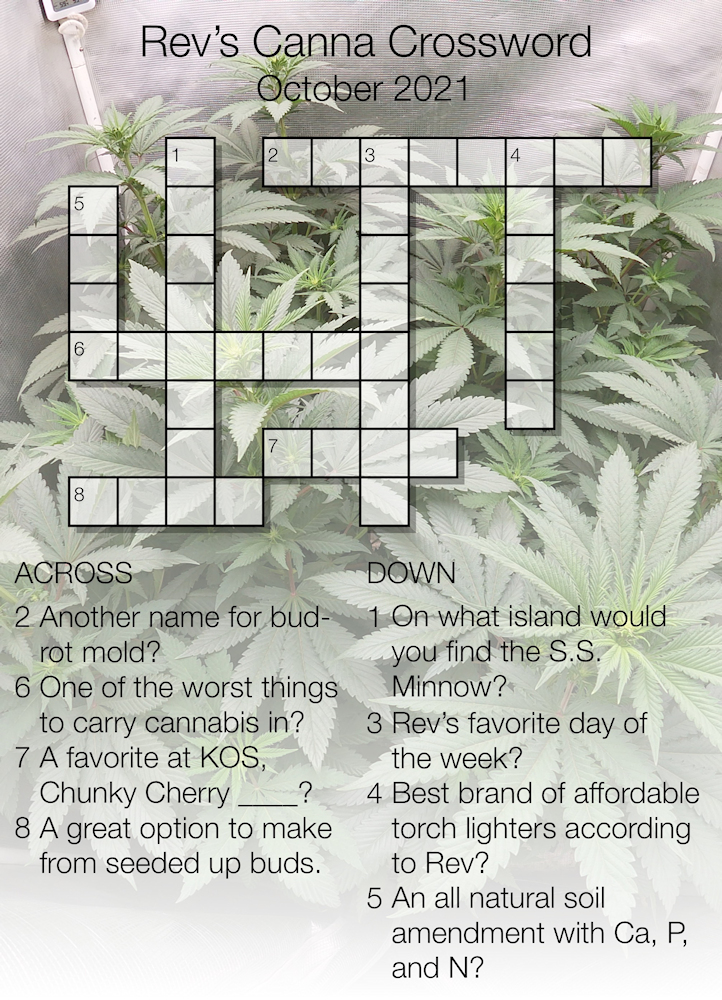 Crossword Oct 2021