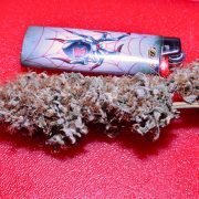 Enhancing Cannabis Terpenes