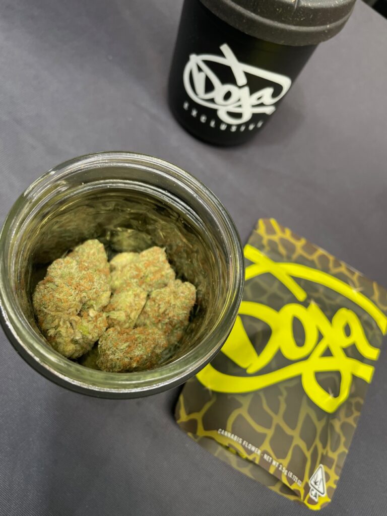 Doja Pak