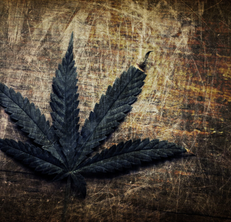 Global-marijuana-culture-potleaf