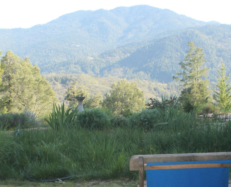 cannabis world news interviews commentary mountains and shrubs