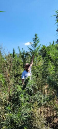 cannabis world news pic of author in cannabis garden