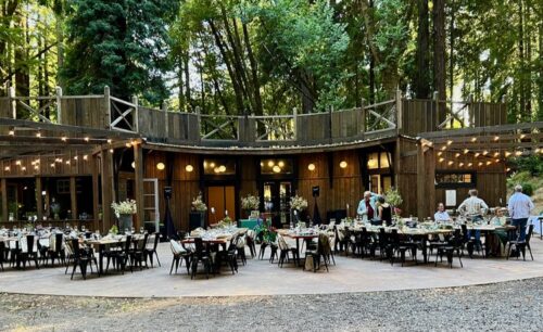 cannabis world news beautiful outdoor dining venue in the woods