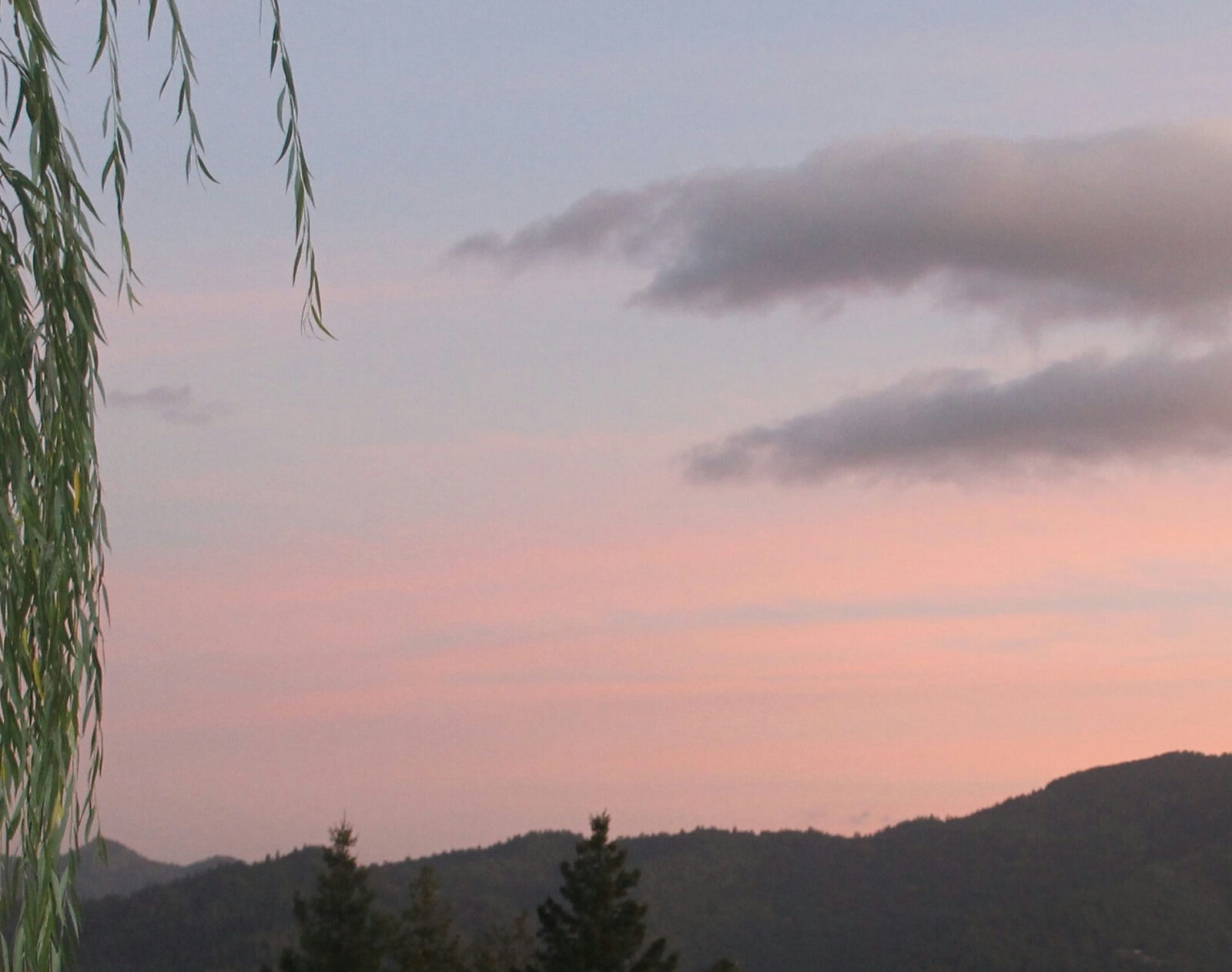 cannabis world news image of sunset