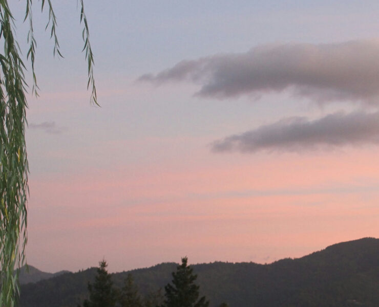 cannabis world news image of sunset