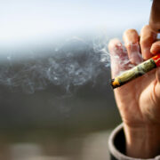 cannabis world,news interviews man smoking cannabis cigar