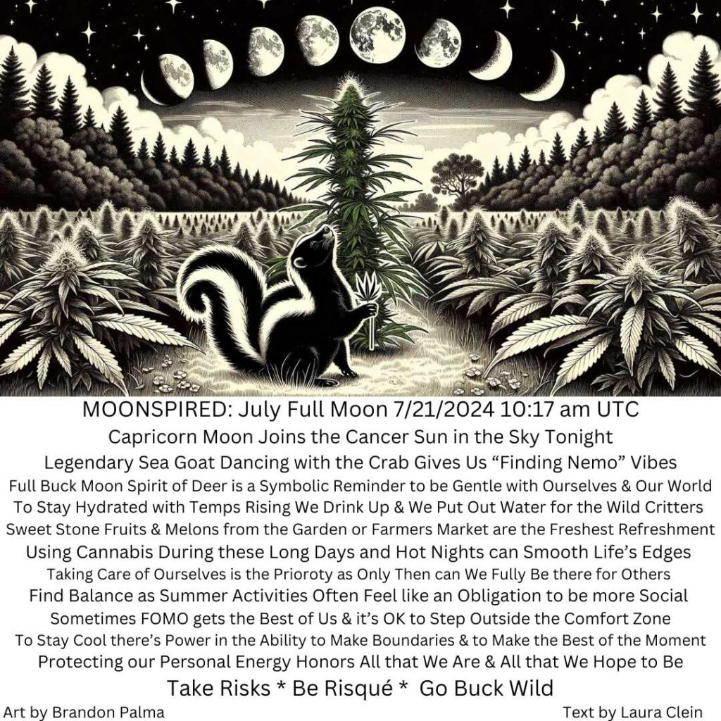 cannabis world news image 0f moon phases with text