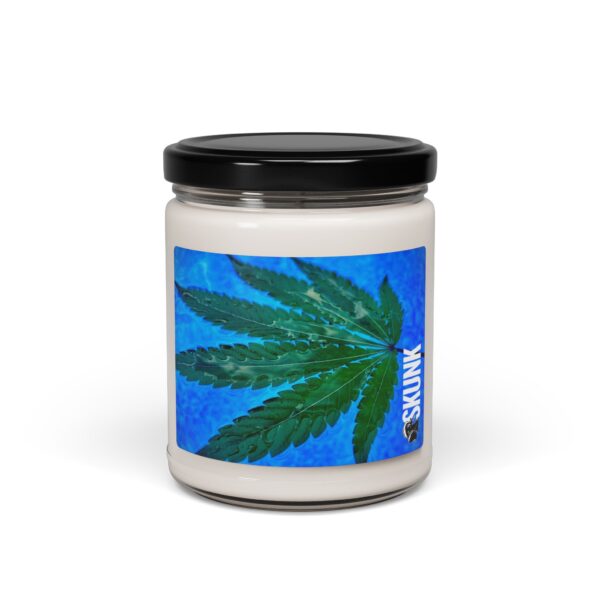Canna Leaf, Scented Soy Candle, 9oz