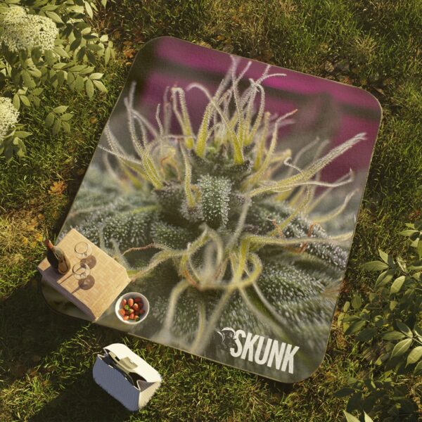 Purple Passion, Picnic Blanket
