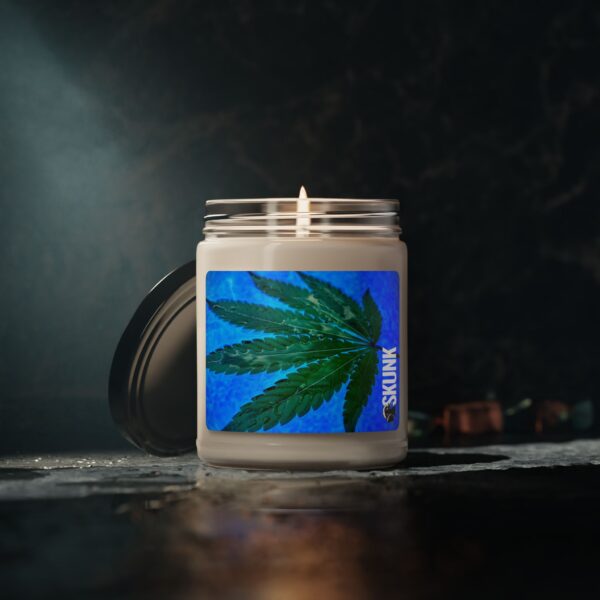Canna Leaf, Scented Soy Candle, 9oz