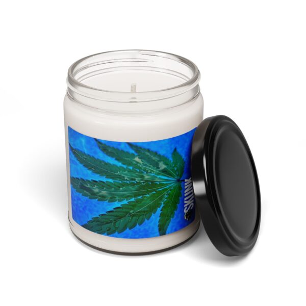 Canna Leaf, Scented Soy Candle, 9oz