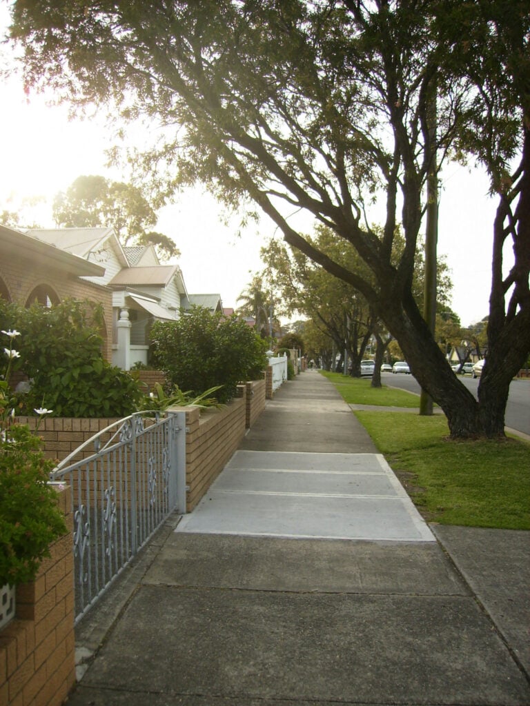 cannabis world news interviews commentary image of sidewalk and tree