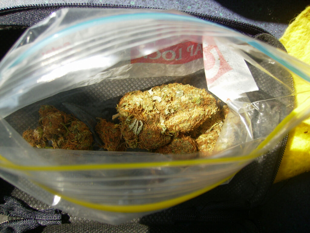 cannabis world news interviews commentary image of a bag of buds