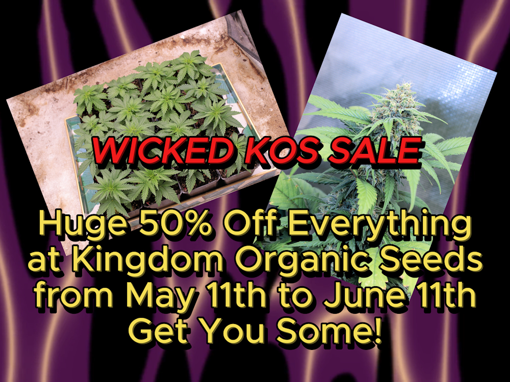 Current Killer Sale at Kingdom Organic Seeds