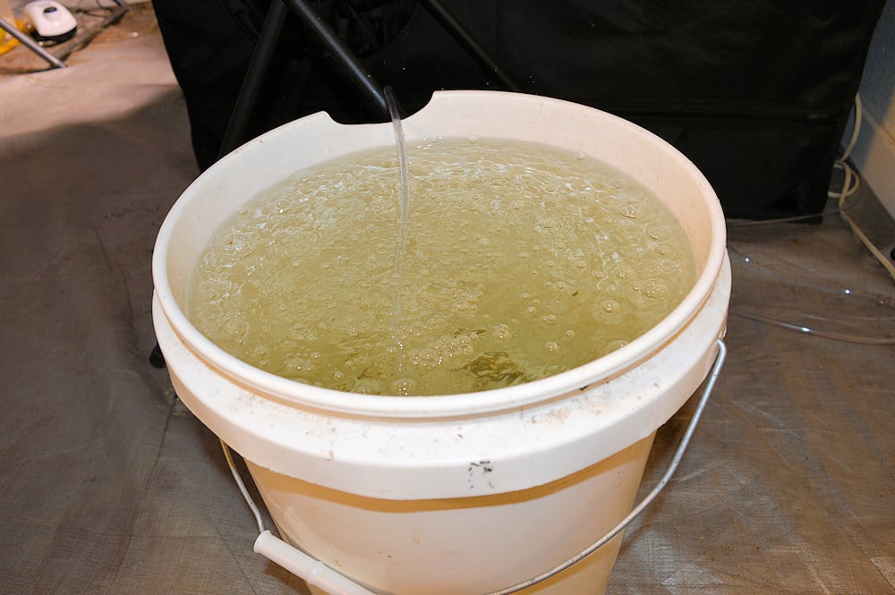 5 Gallons is the Amount of Water I Use Every Time I Water my 2 Tents