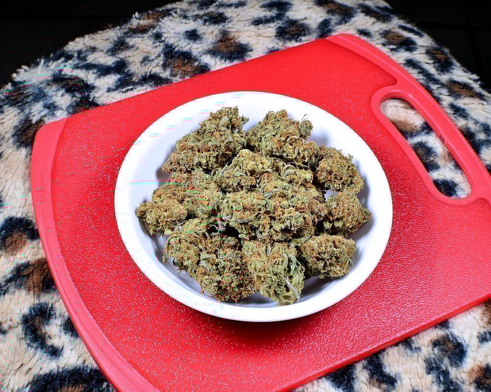 Beautiful Cinderella 99 Buds