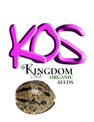 Kingdom Organic Seeds