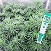 My Favorite TDS Meters