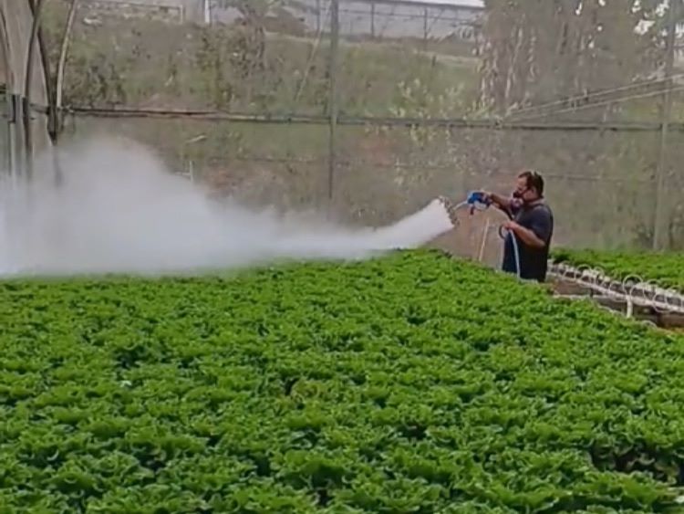 cannabis world news consumer education man spraying large green field of plants