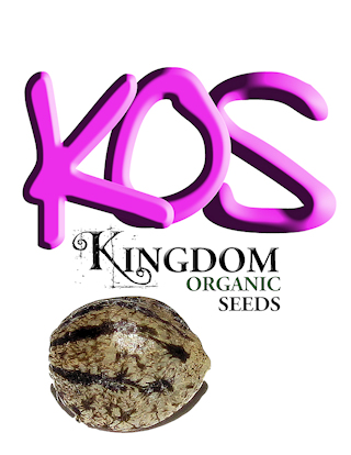 Kingdom Organic Seeds