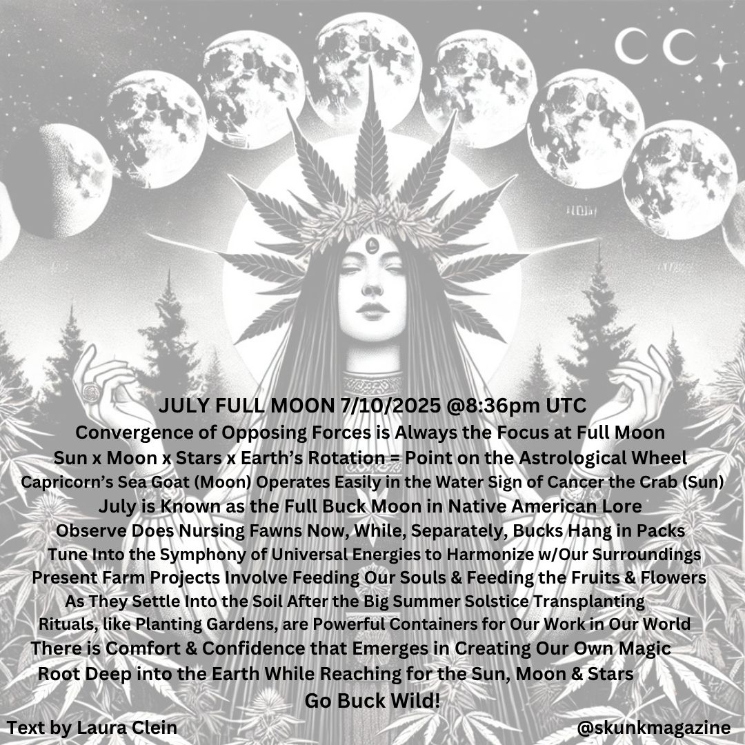 cannabis world news image of Moon Goddess and Moon cycles with this text: JULY FULL MOON 7/10/2025 @8:36pm UTC Convergence of Opposing Forces is Always the Focus at Full Moon Sun x Moon x Stars x Earth’s Rotation = Point on the Astrological Wheel Capricorn’s Sea Goat Moon Operates Easily in the Water Sign of Cancer’s Sun July is also Known as the Full Buck Moon in Native American Lore Observe Does Nursing Fawns Now, While, Separately, Bucks Hang in Packs Tune Into the Symphony of Universal Energies to Harmonize w/Our Surroundings Present Farm Projects Involve Feeding Our Souls & Feeding the Fruits & Flowers As They Settle Into the Soil After the Big Summer Solstice Transplanting Rituals, like Planting Gardens, are Powerful Containers for Our Work in Our World There is Comfort & Confidence that Emerges in Creating Our Own Magic Root Deep into the Earth While Reaching for the Sun, Moon & Stars Go Buck Wild! 