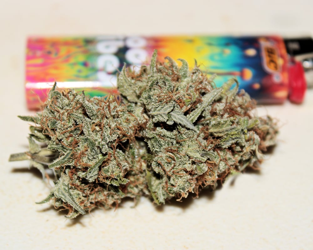 Curing Cannabis