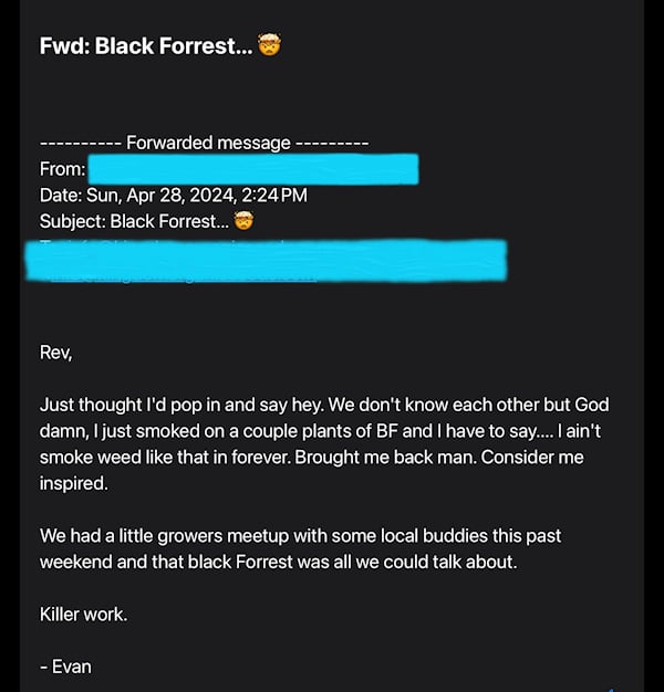 From a Kingdom Organic Seeds Black Forrest Fan