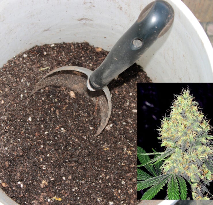 Jacking Up Your Bagged Soil