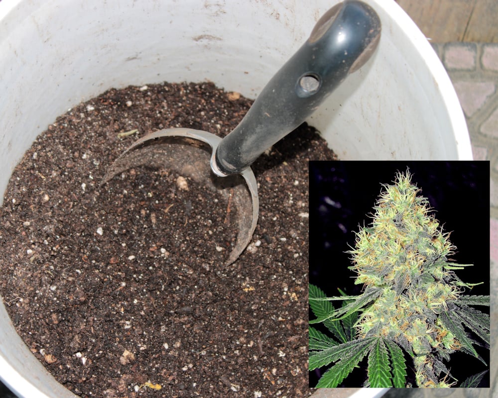Jacking Up Your Bagged Soil