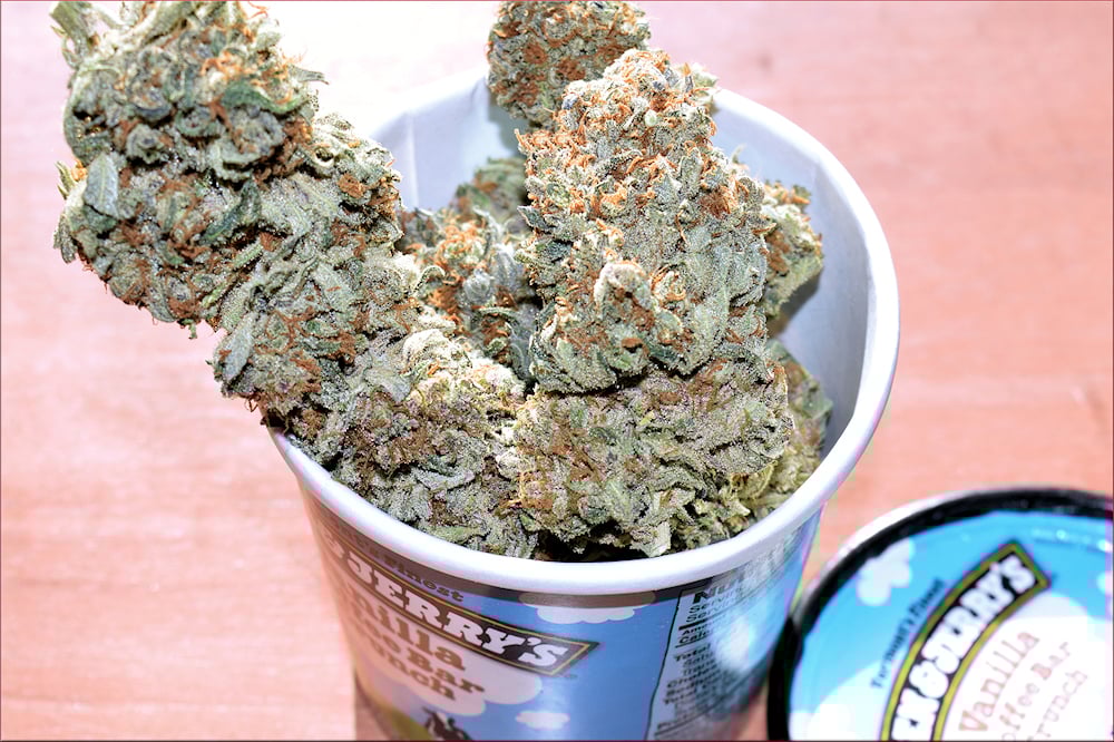 Sativa Hybrids are Often Awesome and Complex Themselves but That’s Not a Sativa