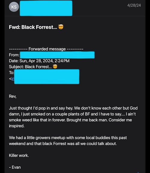 So At Least Once in Your Life You Should Try Some Black Forrest from KOS at JBC Seeds