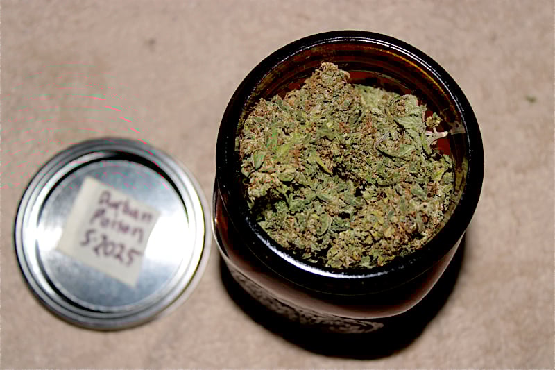 Cannabis and Coffee is One of My Favorites Especially with a Sativa