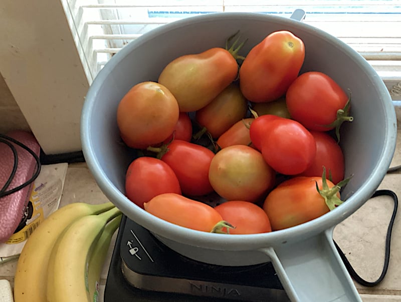 Homegrown Organic Tomatoes Blow Storage Bought Away by Miles