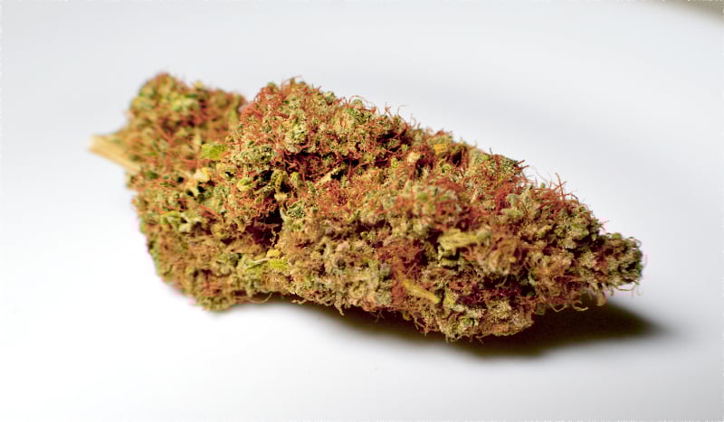 There’s Something About a Sativa