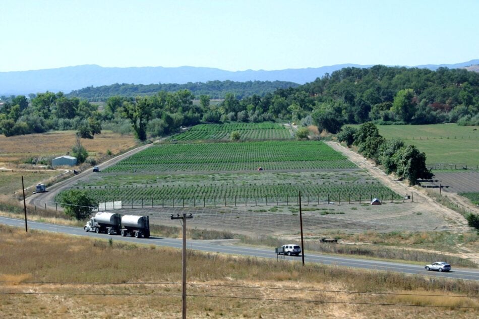 cannbnis world news image of plot of land